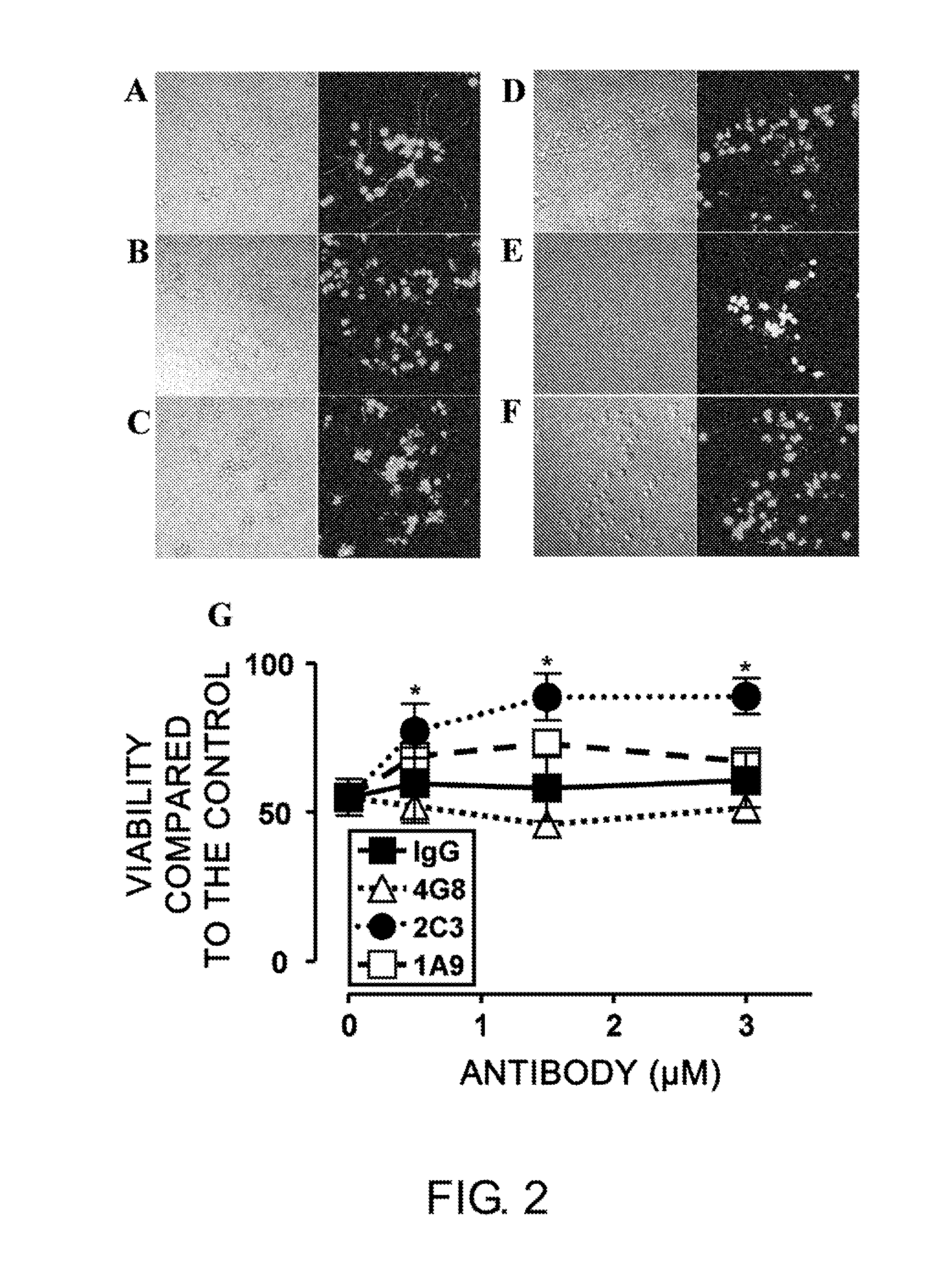Antibodies That Specifically Bind to ABeta Oligomers and Uses Thereof