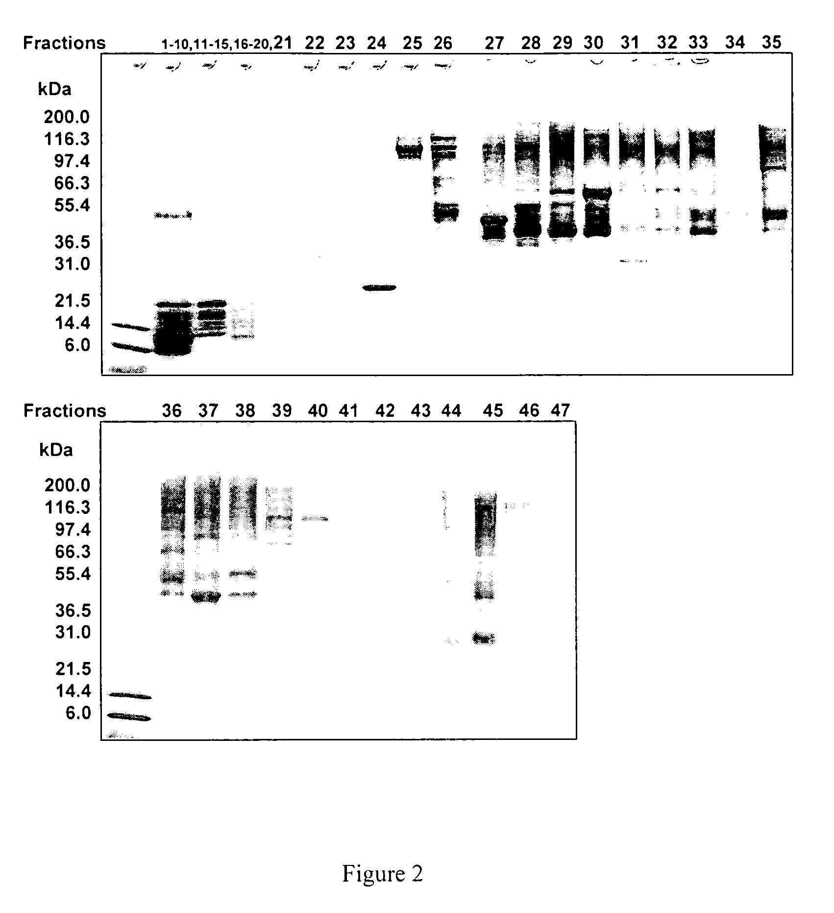 Methods and systems for on-column protein delipidation