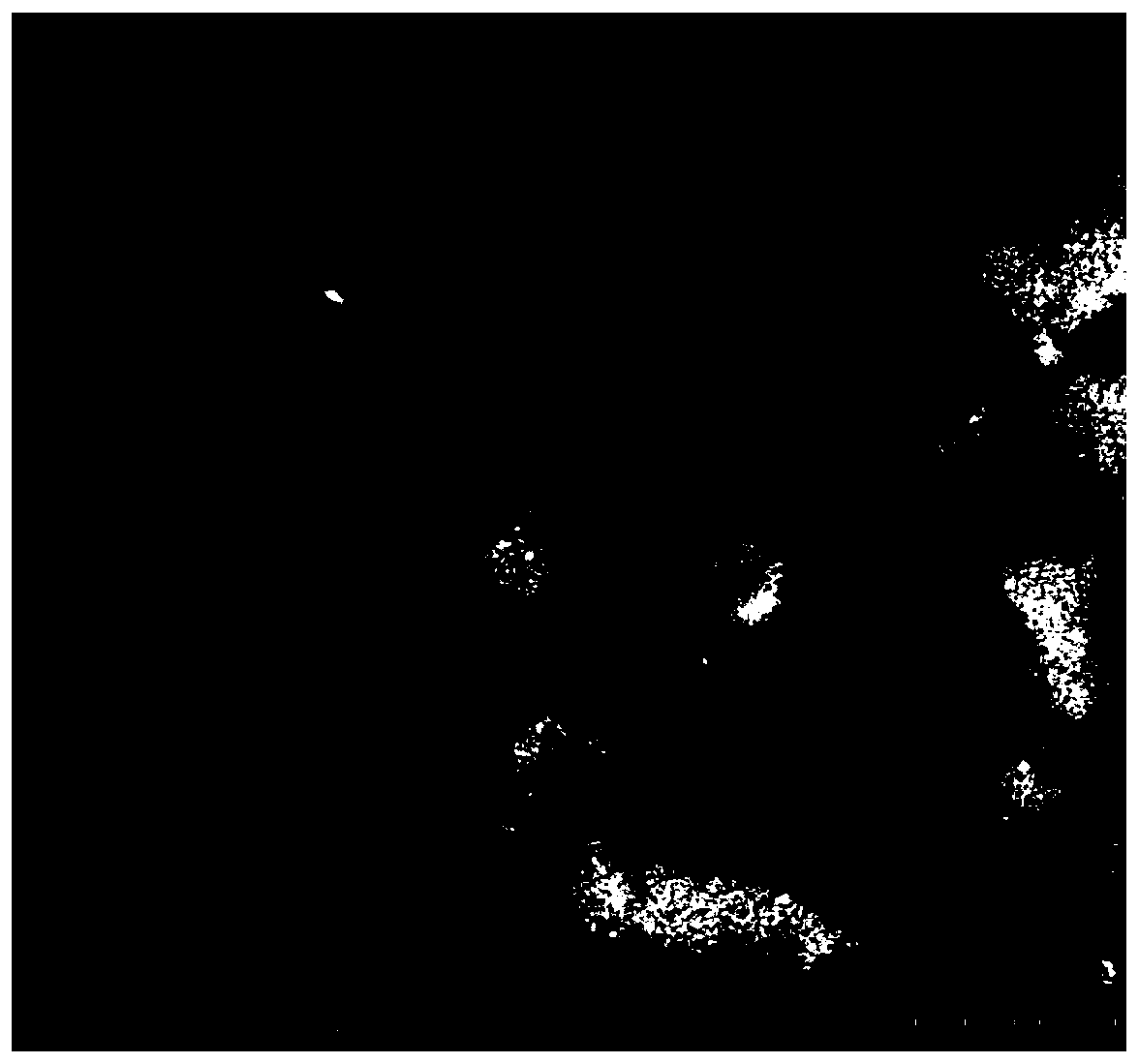 A feed additive for alleviating endoplasmic reticulum stress of sea bass, its preparation method and application