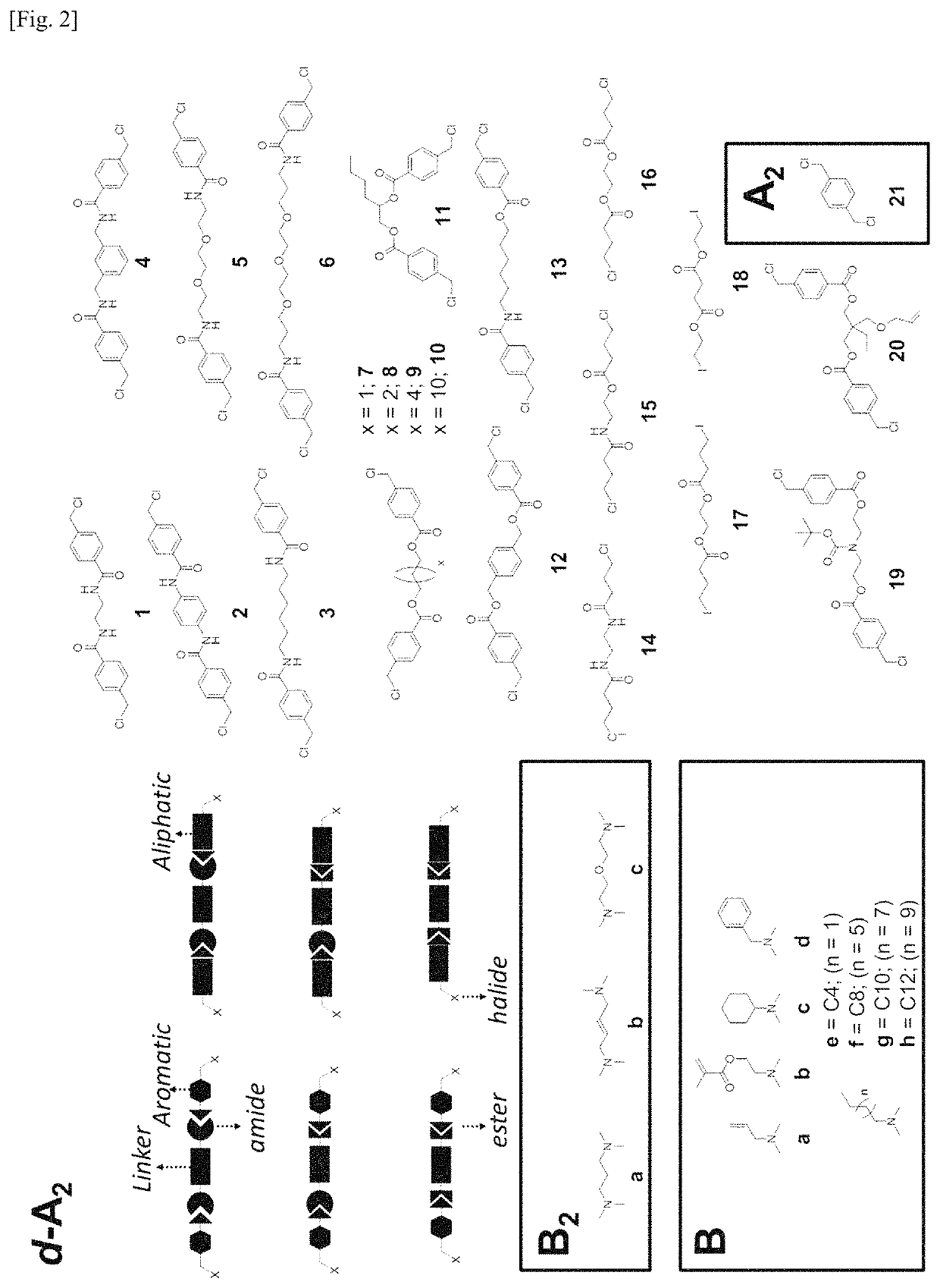 Biodegradable polyionenes