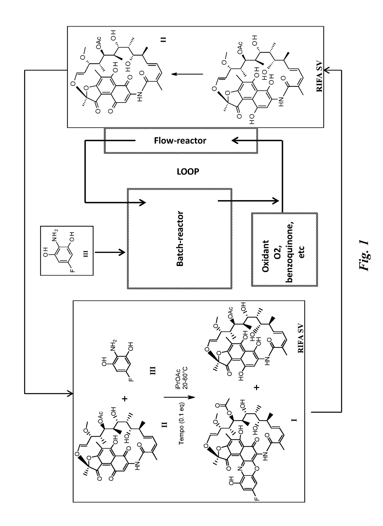 Process for the preparation of an antibody-rifamycin conjugate