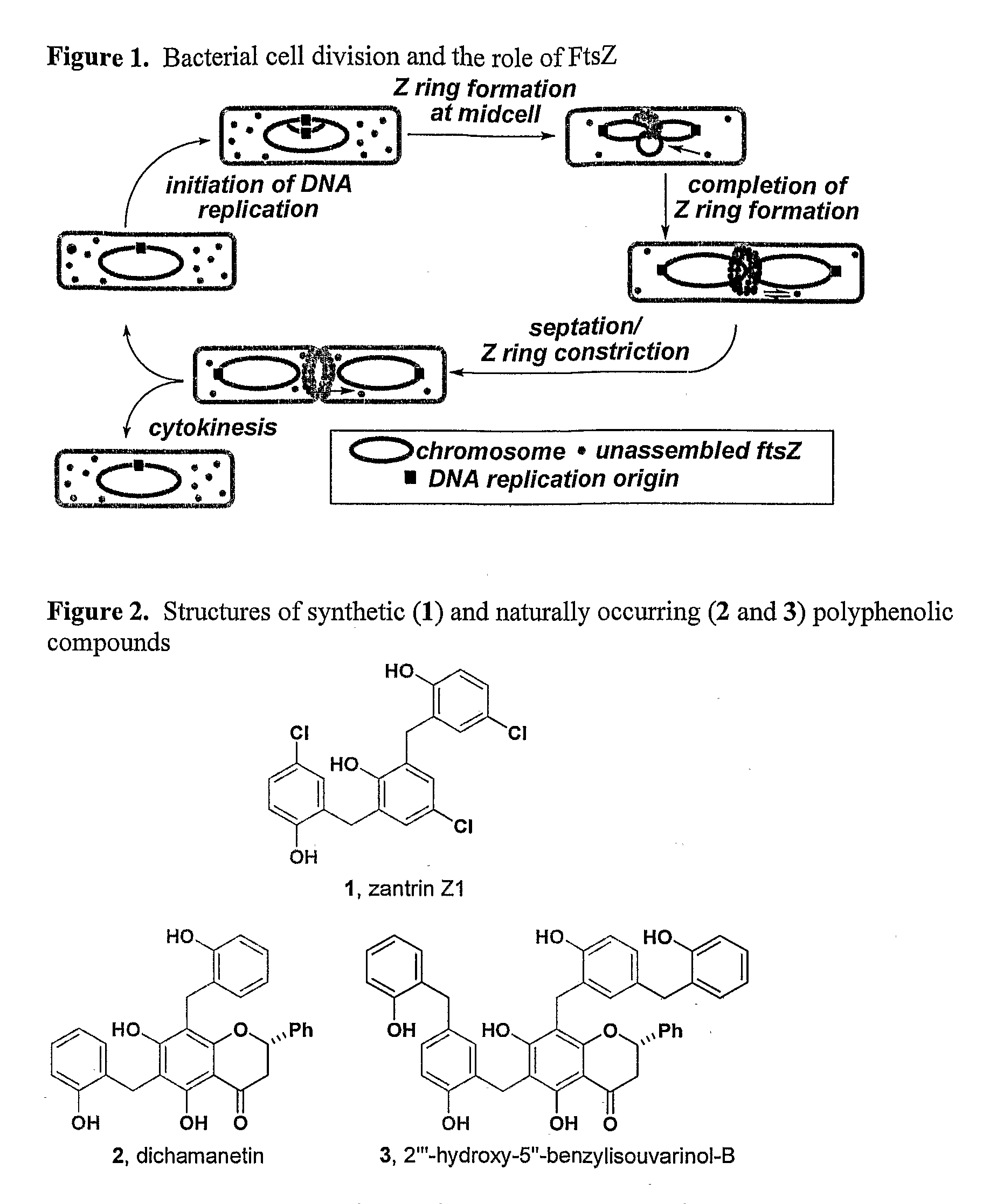 Synthesis of Inhibitors of FtsZ