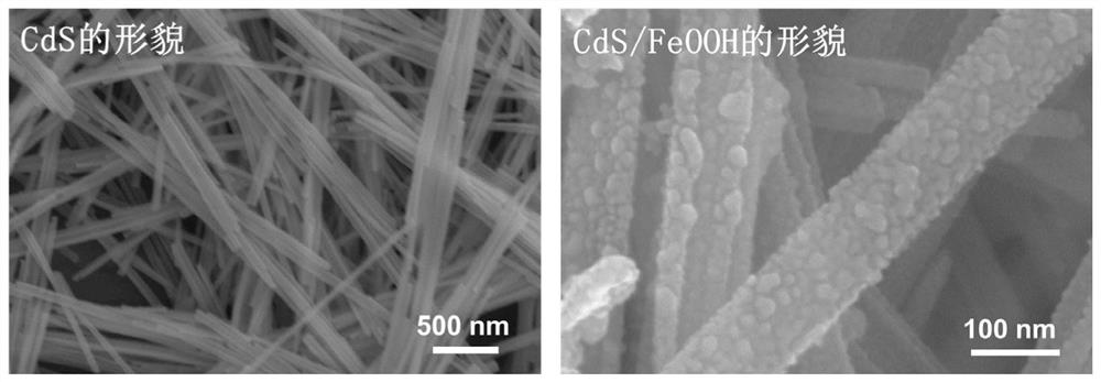 A kind of iron oxyhydroxide/cadmium sulfide nanobelt direct z-scheme photocatalyst and its preparation method