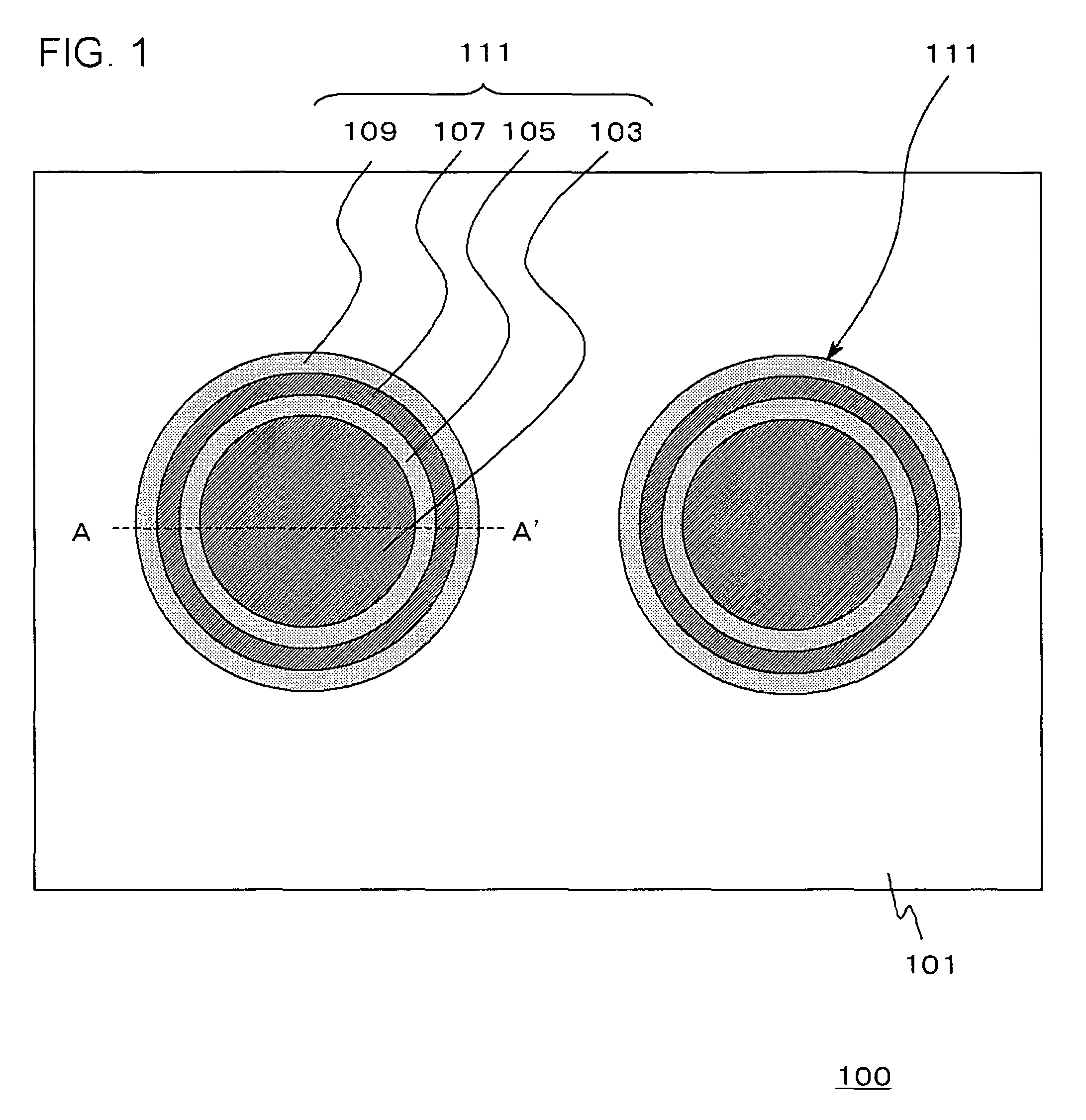 Semiconductor device providing a first electrical conductor and a second electrical conductor in one through hole and method for manufacturing the same