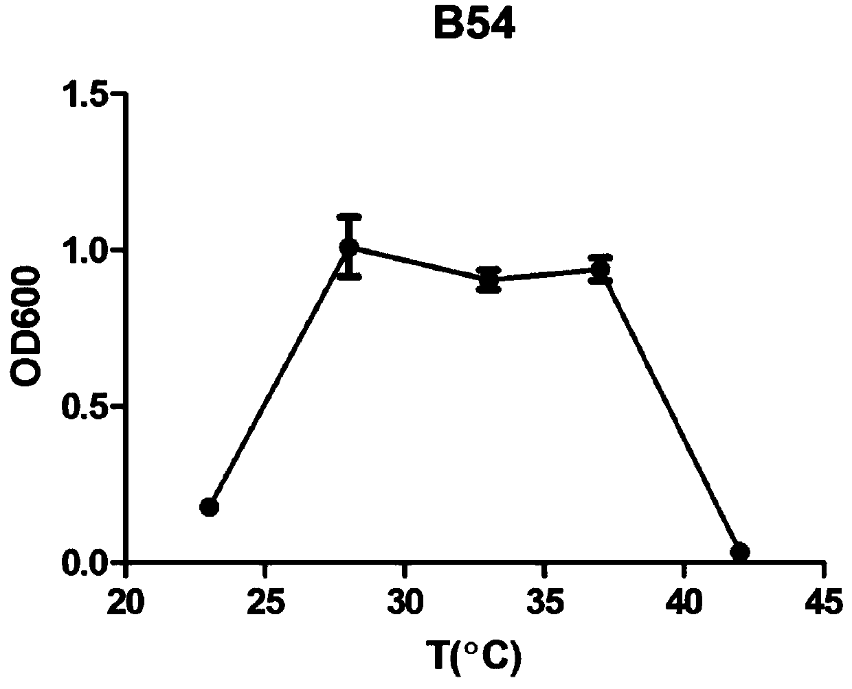 Paracoccus acridae B54 and application thereof