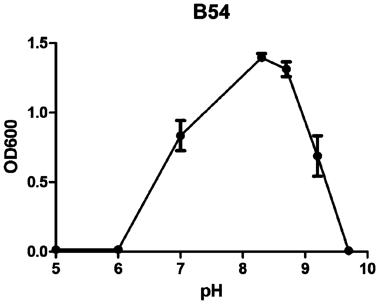 Paracoccus acridae B54 and application thereof