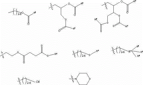 Posaconazole derivative, synthesis and application in prolonged action preparation thereof
