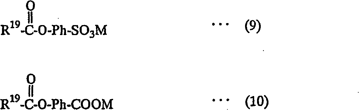 Particulate detergent composition and process for producing the same