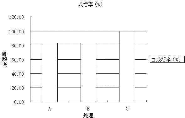 Controlled release compound fertilizer and preparation method thereof