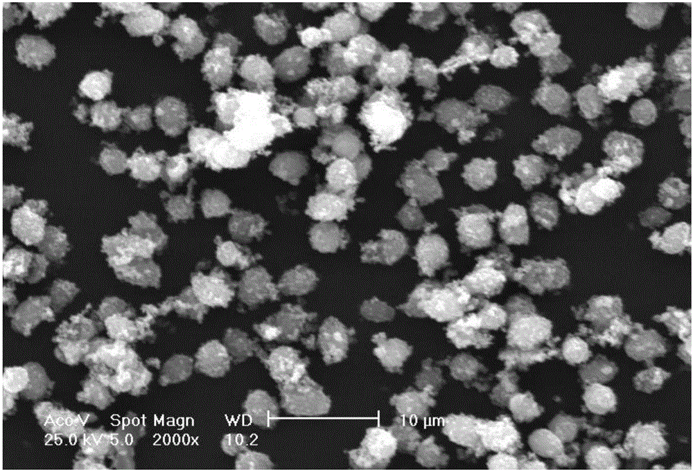 Biological carbon sphere supported FeMoO4 Fenton catalyst, preparation method and application