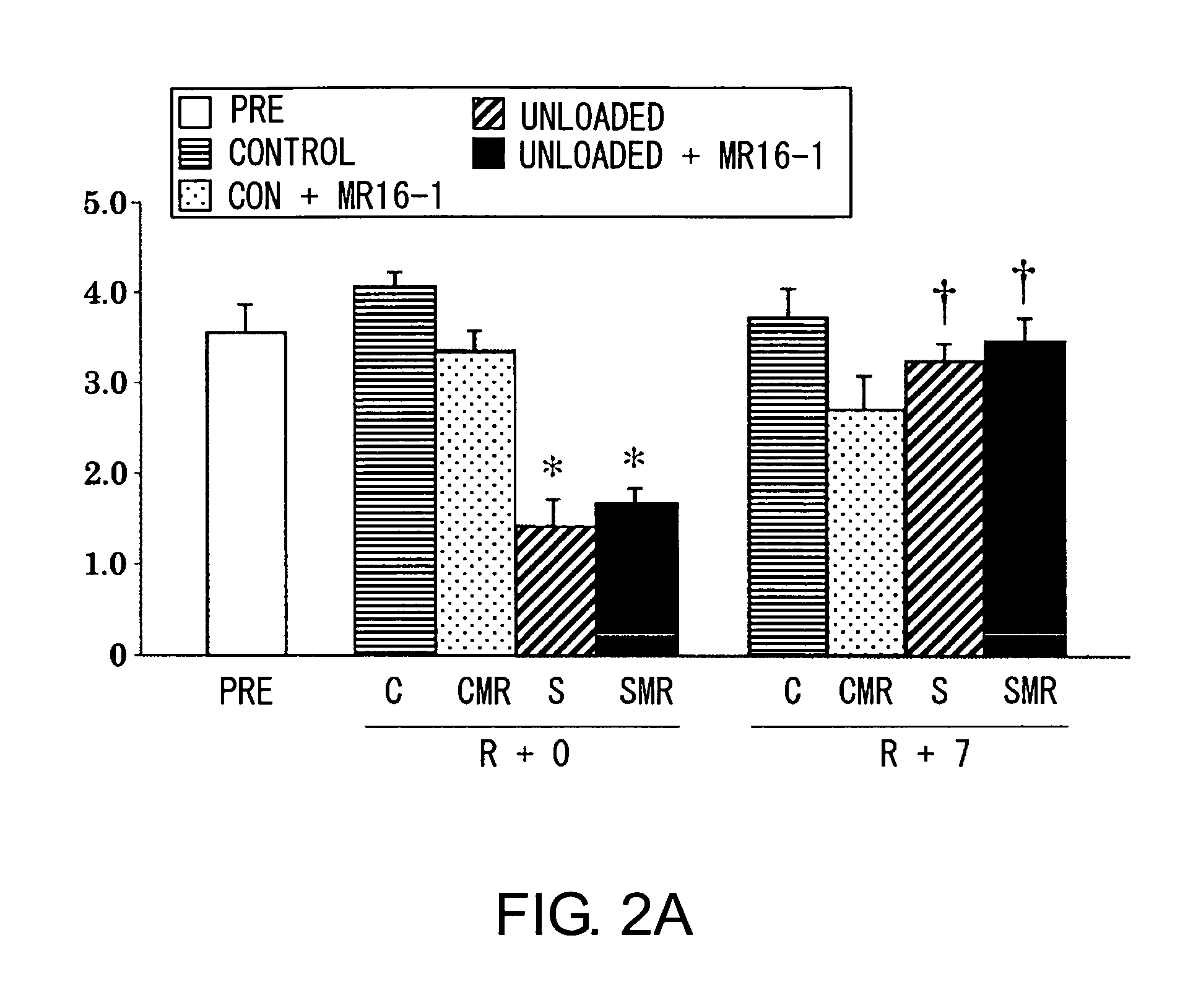 Method for promoting muscle regeneration by administering an antibody to the IL-6 receptor