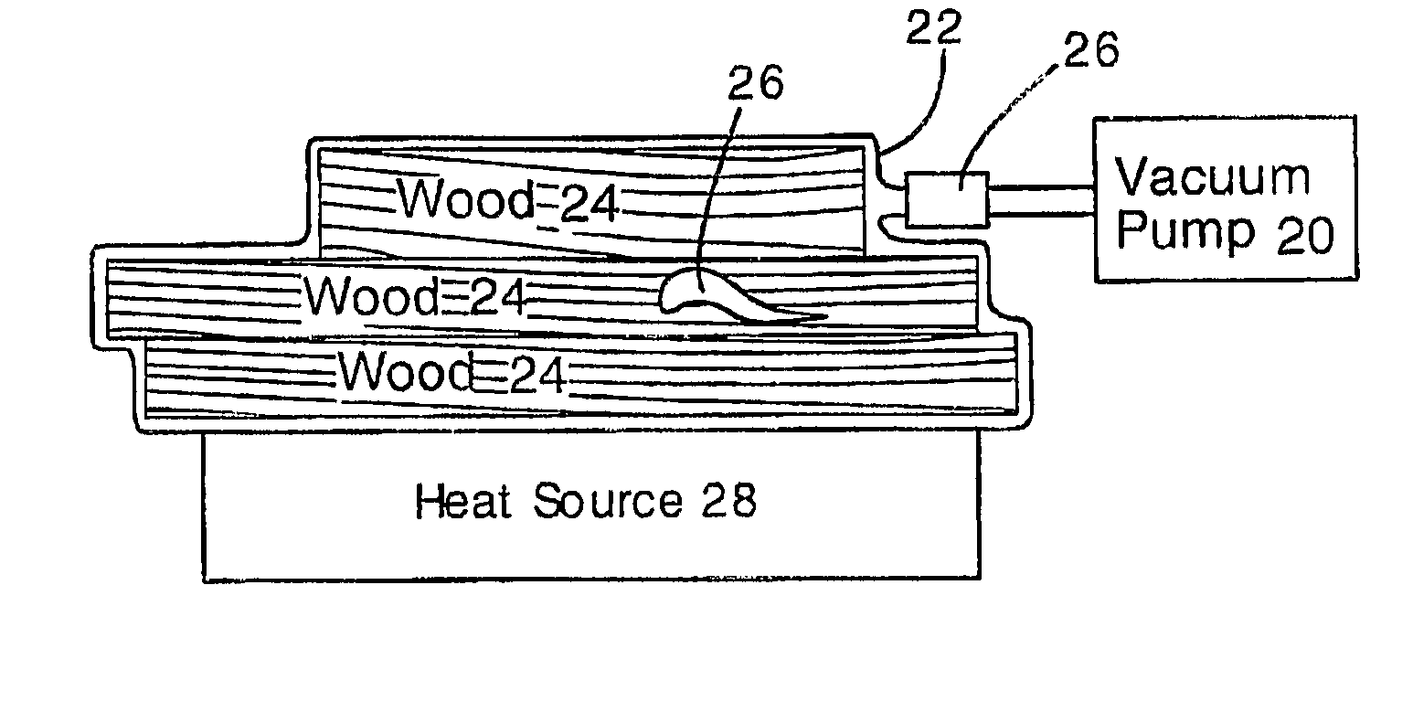 Killing insect pests inside wood by vacuum dehydration