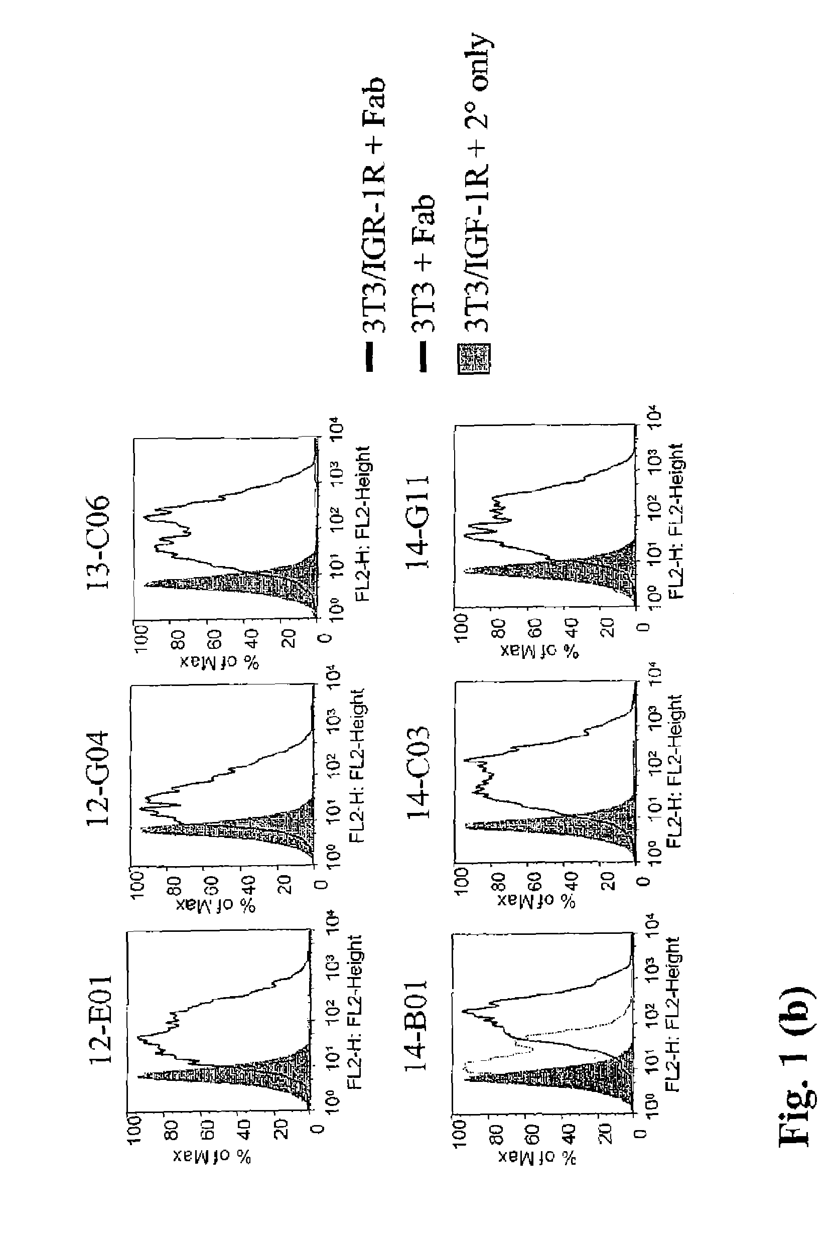 Anti-IGF-1R antibodies and uses thereof