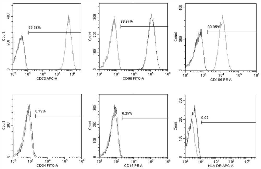 Method for preparing clinical-grade mesenchymal stem cell preparation by utilizing human induced pluripotent stem cells