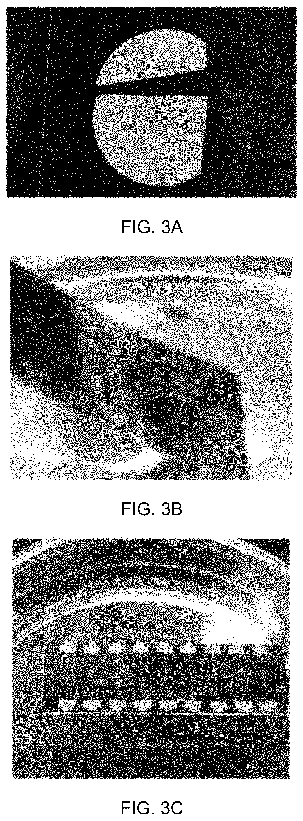 Carbyne-Based Sensing Device for High Spatial Resolution in DNA Sequencing and Biomolecule Characterization and Method of Fabricating the Same