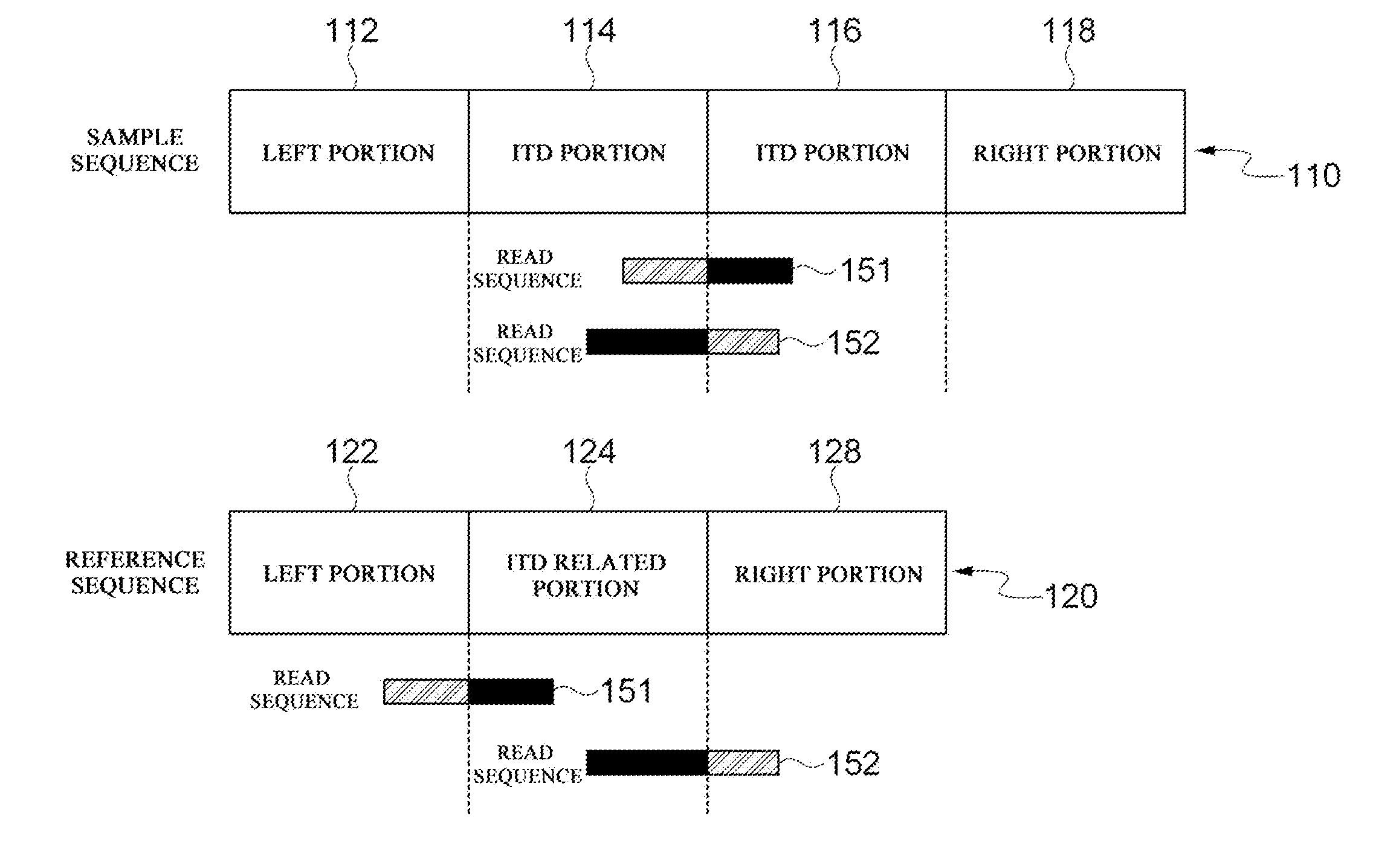 Apparatus and method for detecting internal tandem duplication