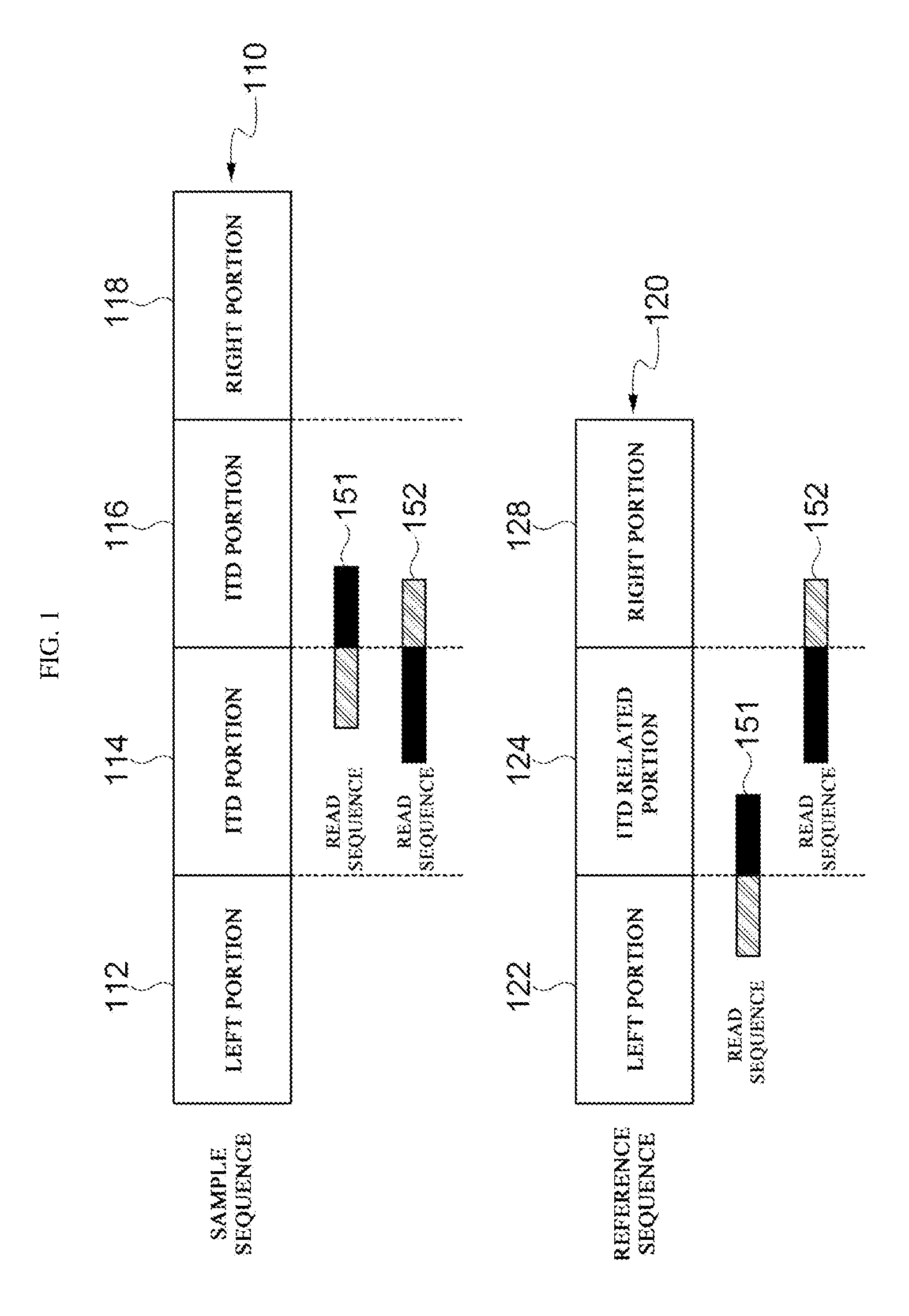 Apparatus and method for detecting internal tandem duplication