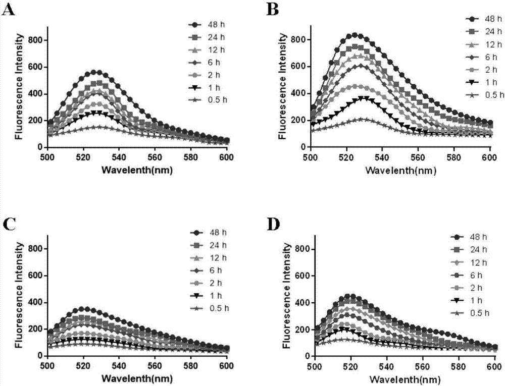 Preparation method and applications of triblock polymer micelle