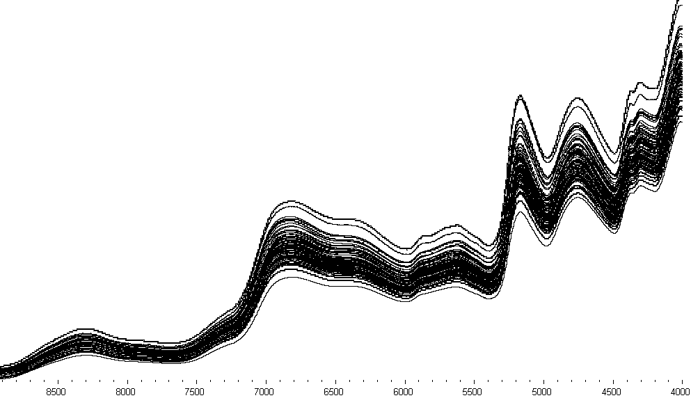 Radix gastrodiae elatae identification method based on near-infrared spectroscopy