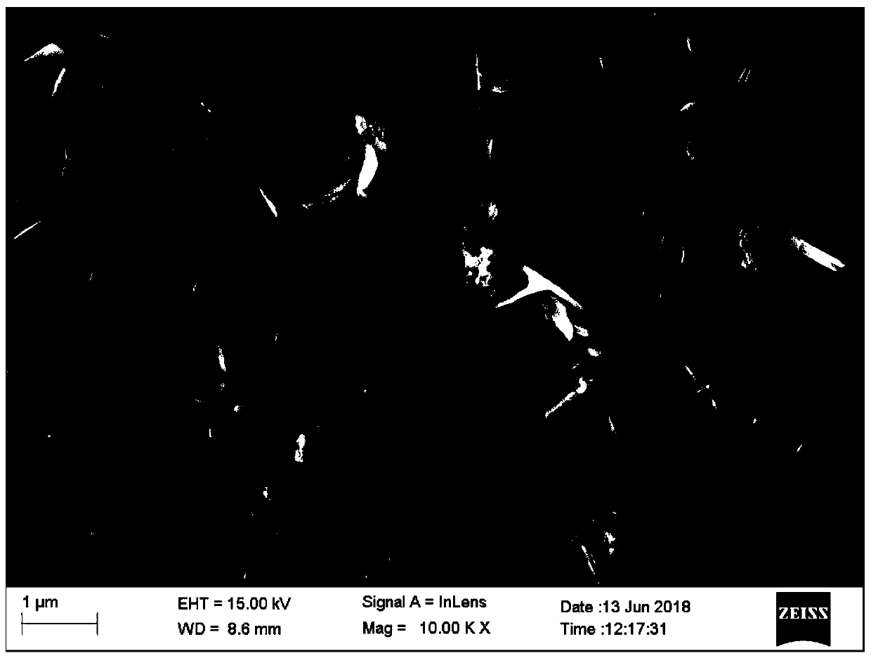 Organic-inorganic hybrid adsorbent with hierarchical structure and its preparation method and application