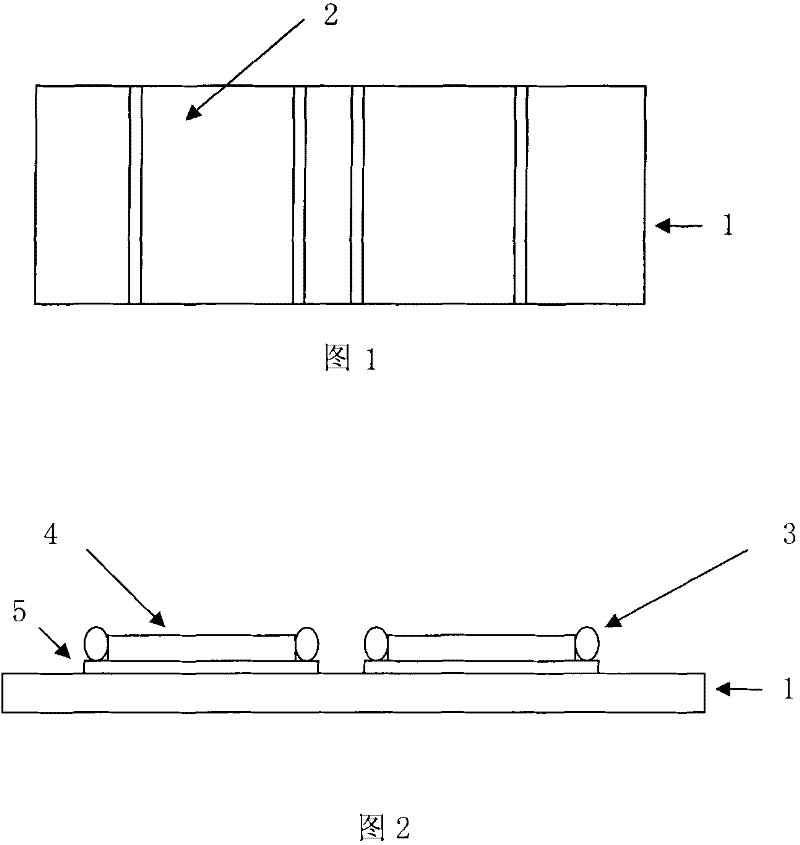 Method for horizontal transfection of exogenesis endosymbiosis bacterium to bemisia tabaci gennadius