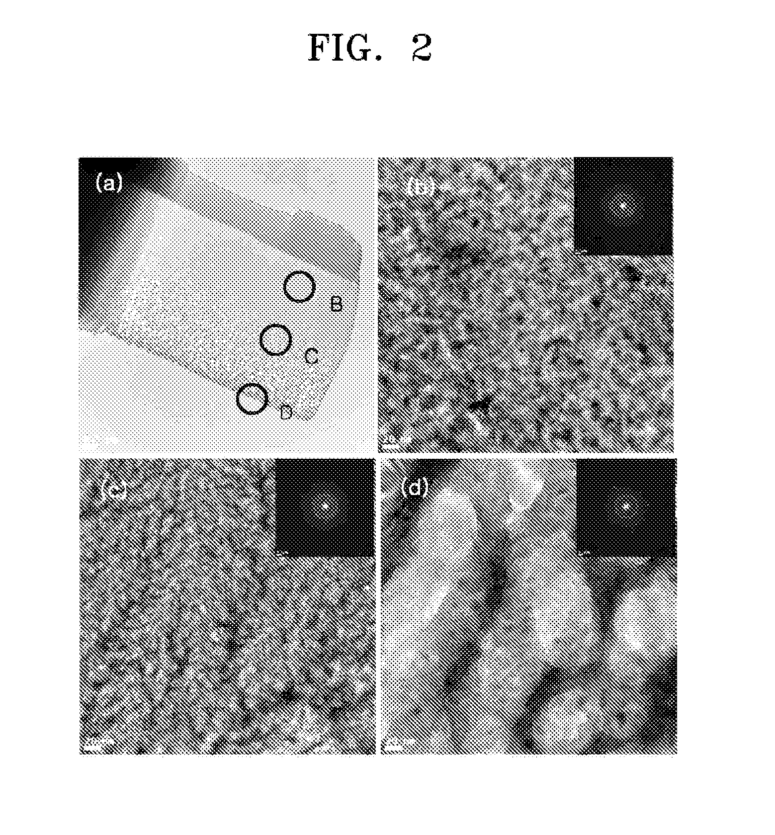 Negative  active  material  for secondary  battery  and  method  of manufacturing  the  same