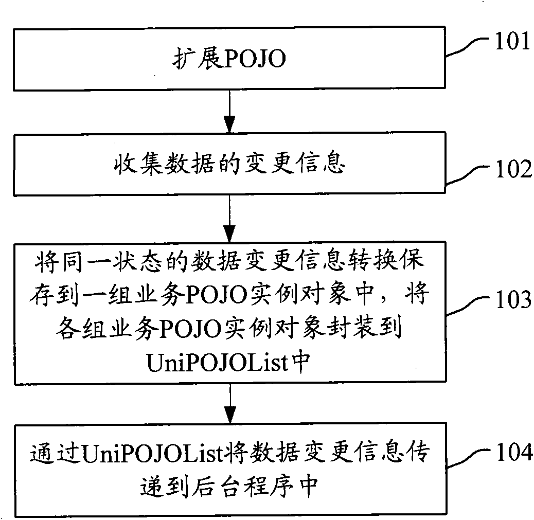 Method and device for supporting additional information by POJO extension