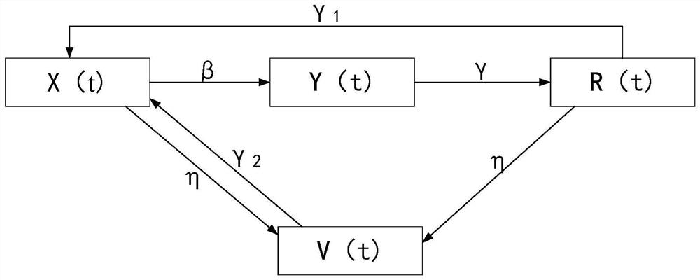 Vaccination proportion calculation method and device, storage medium and electronic equipment