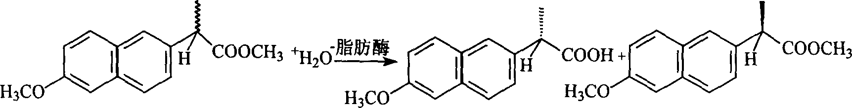 Method for biological catalytic preparing naprosyn