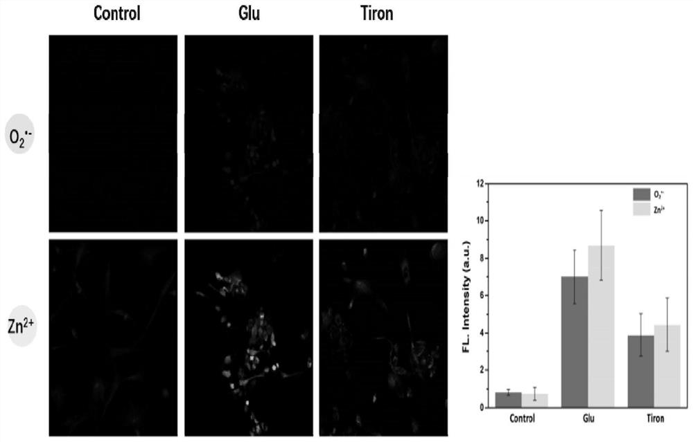 A kind of two-color fluorescent probe and its synthesis method and application