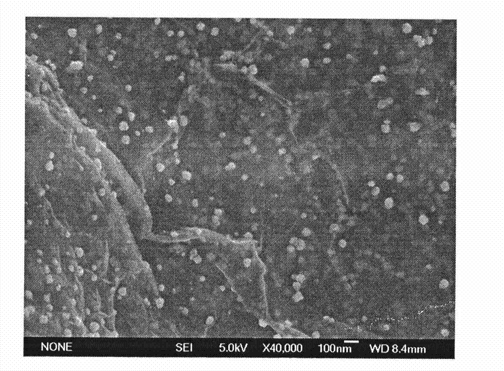 Nano-graphite alkenyl composite wave-absorbing material and method of preparing the same