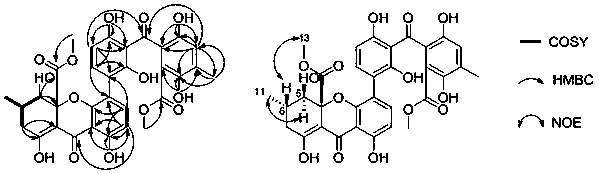 Rhyronic acid i derived from Penicillium oxalicum and its application as an anti-human oral epidermoid cancer drug