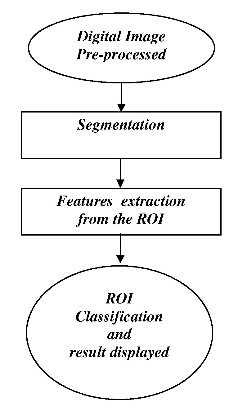 Method for processing biomedical images