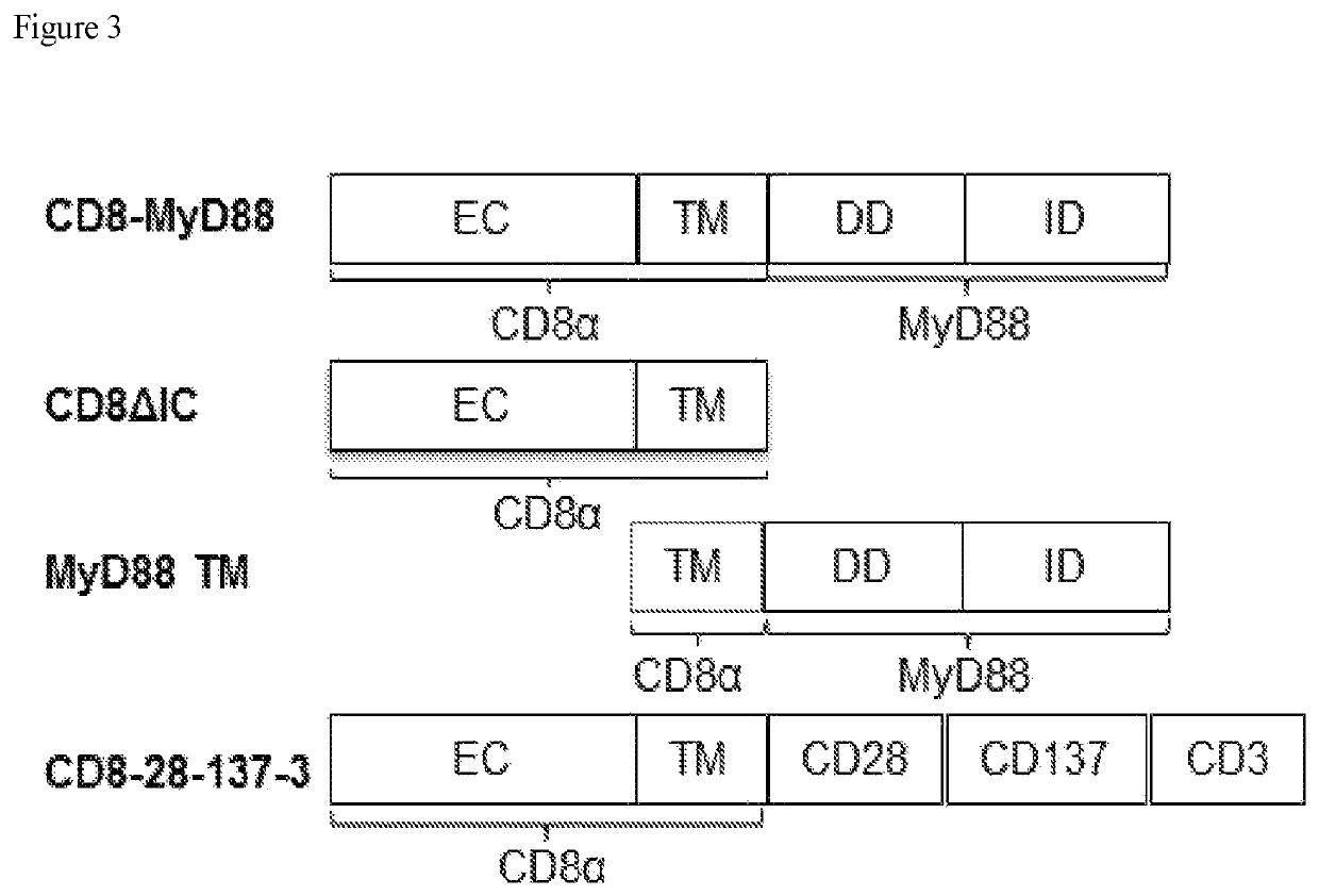 CD8a and t cell receptor variants and methods of using same in modulating immune cell responses