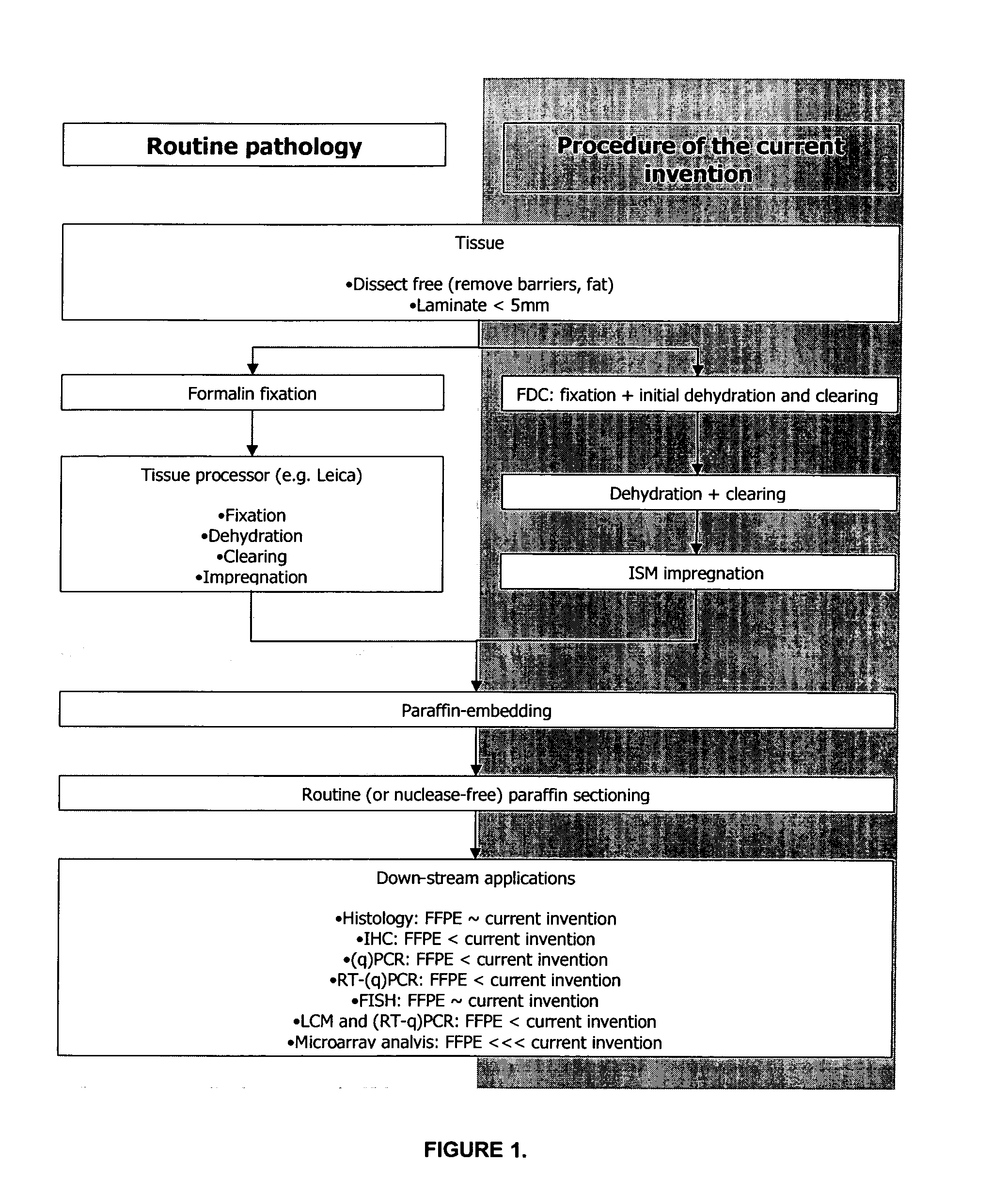 Methods, Reagents, Devices and Instrumentation For Preparing Impregnated Tissue Samples Suitable For Histopathological and Molecular Studies