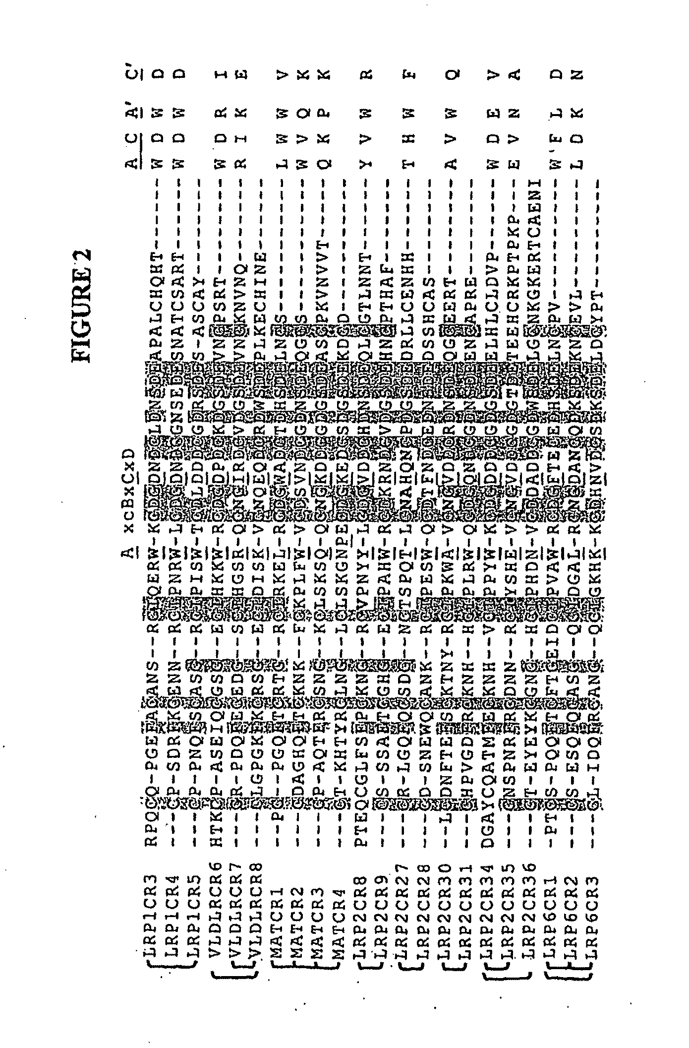 Compositions Comprising Receptor-Associated Protein (RAP) Variants Specific for CR-Containing Proteins and Uses Thereof