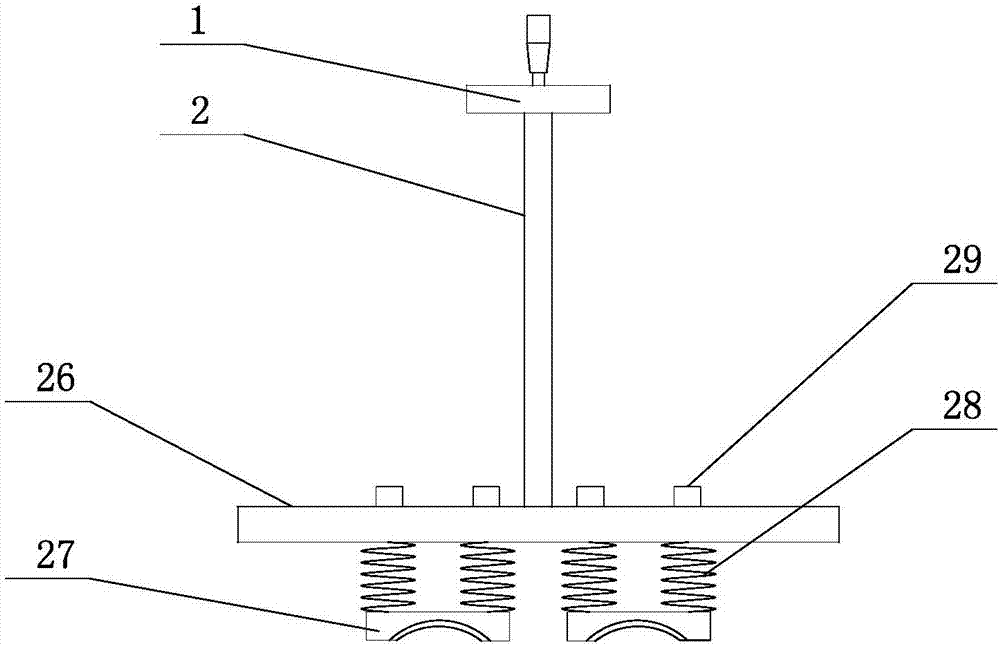 Meat slice processing equipment