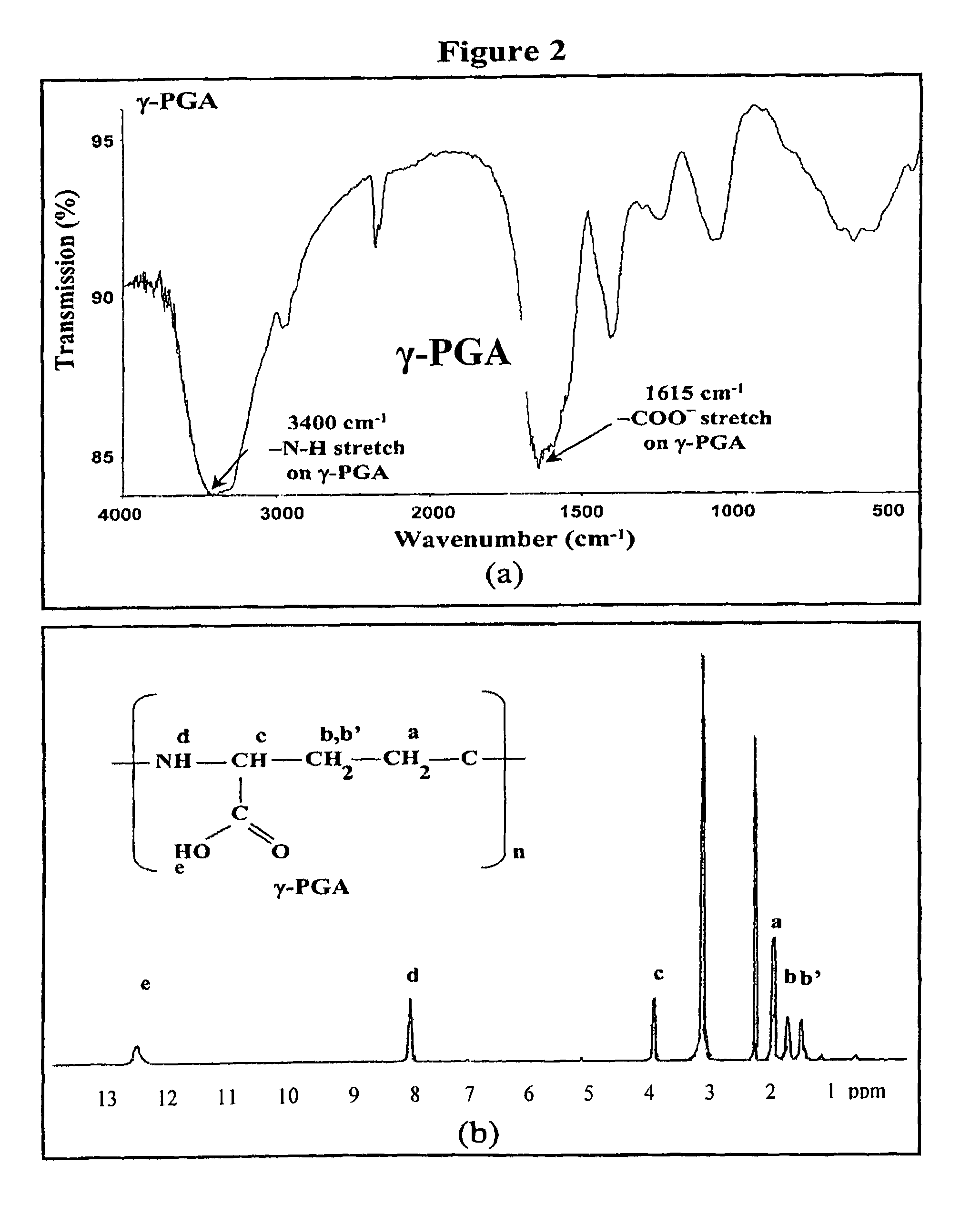 Pharmaceutical composition of nanoparticles for protein drug delivery