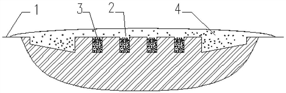 A self-lubricating gear with micro-texture