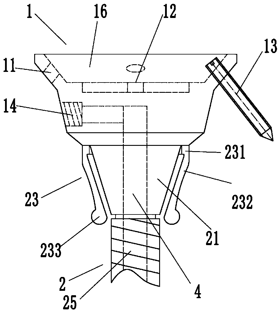 Bone bolt and manufacturing process of bone bolt