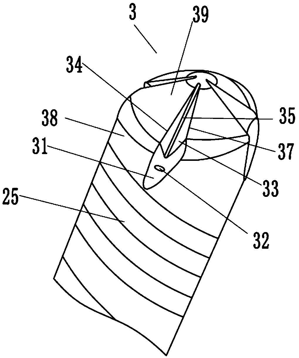 Bone bolt and manufacturing process of bone bolt