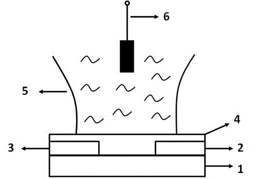 Marine microorganism adhesion sensor based on organic electrochemical transistor and preparation method of sensor