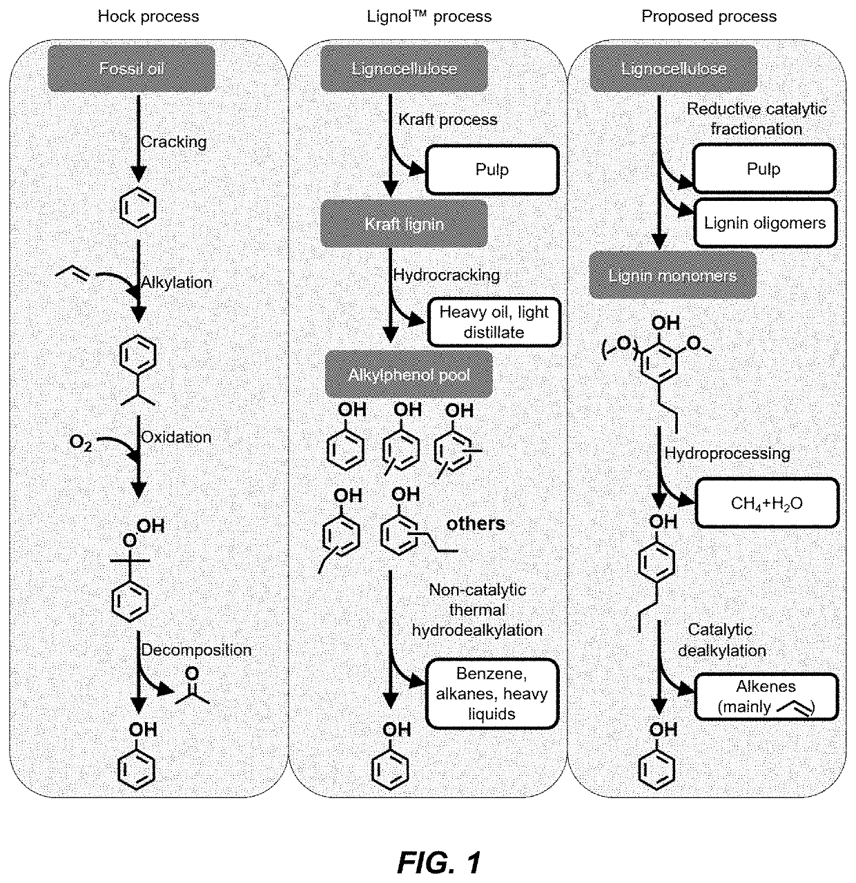 Catalytic funneling of phenolics