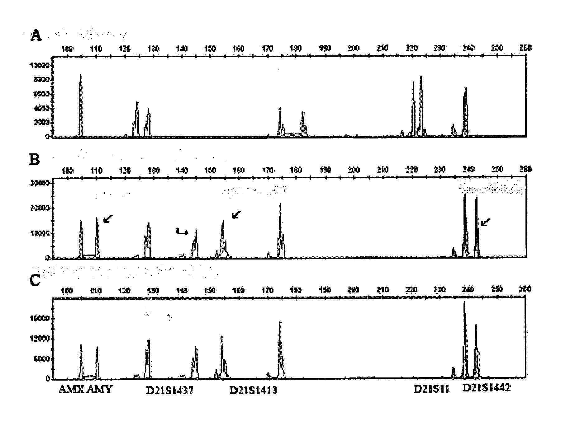 Cell processing and/or enrichment methods
