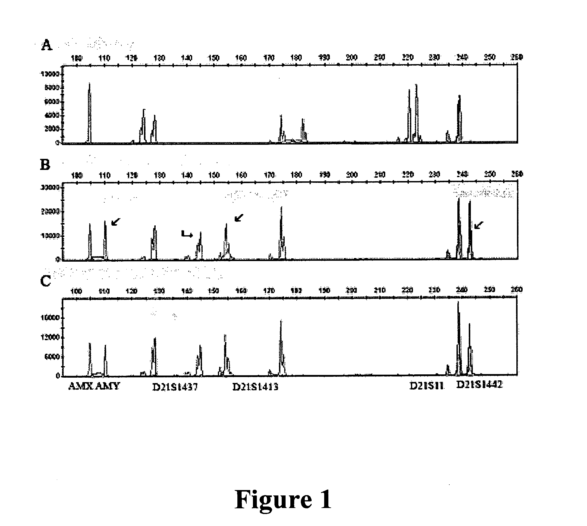 Cell processing and/or enrichment methods