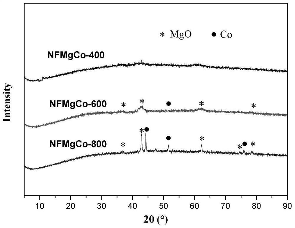 A kind of magnetic mgo nano flower phosphate adsorbent and its preparation method and application
