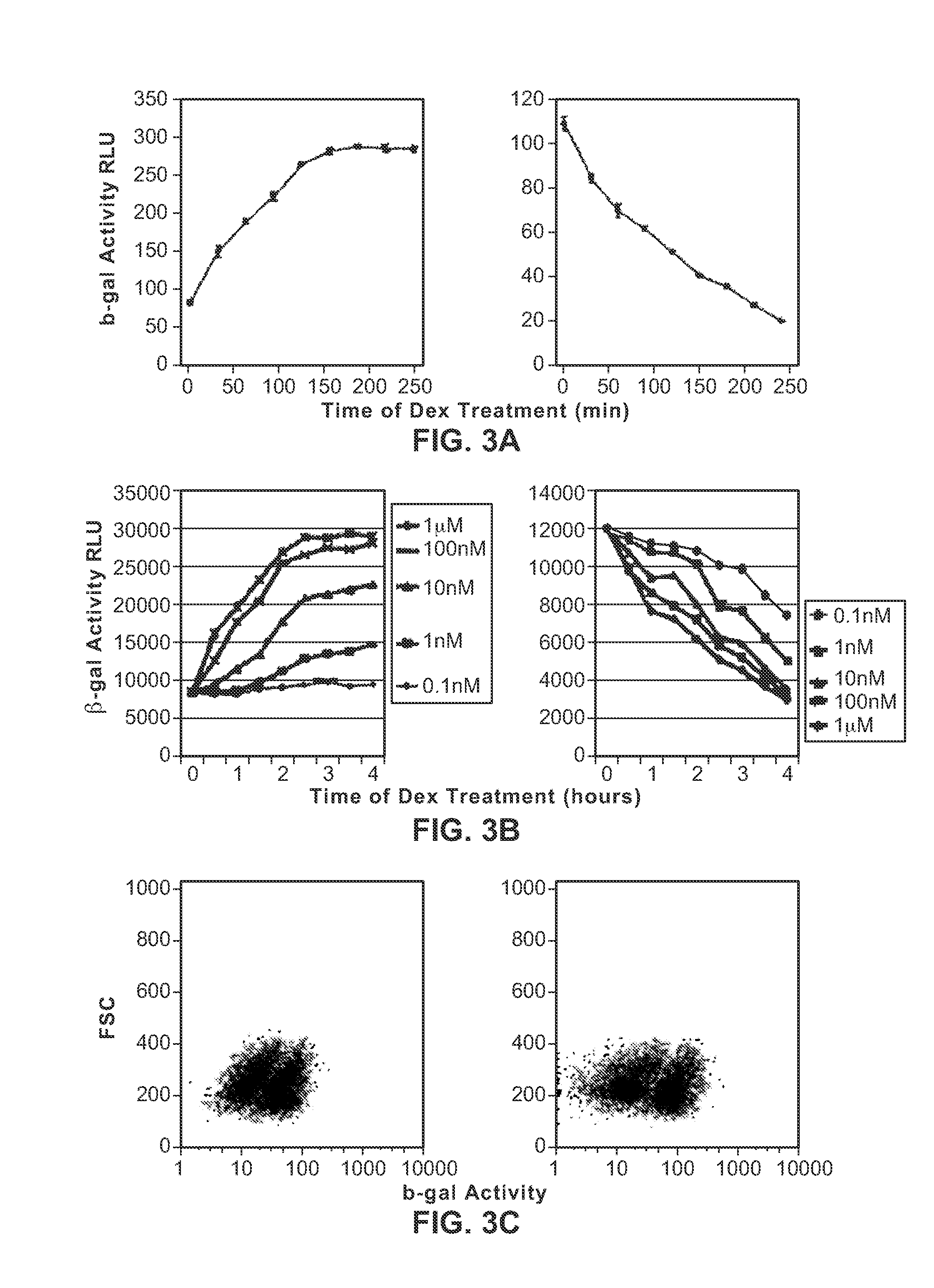 Detection of Protein Translocation by Beta-Galactosidase Reporter Fragment Complementation