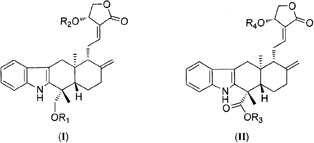 Indole andrographolide, ramification of indole andrographolide and preparing method and medical application of ramification