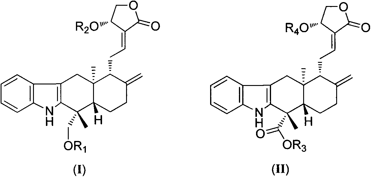 Indole andrographolide, ramification of indole andrographolide and preparing method and medical application of ramification