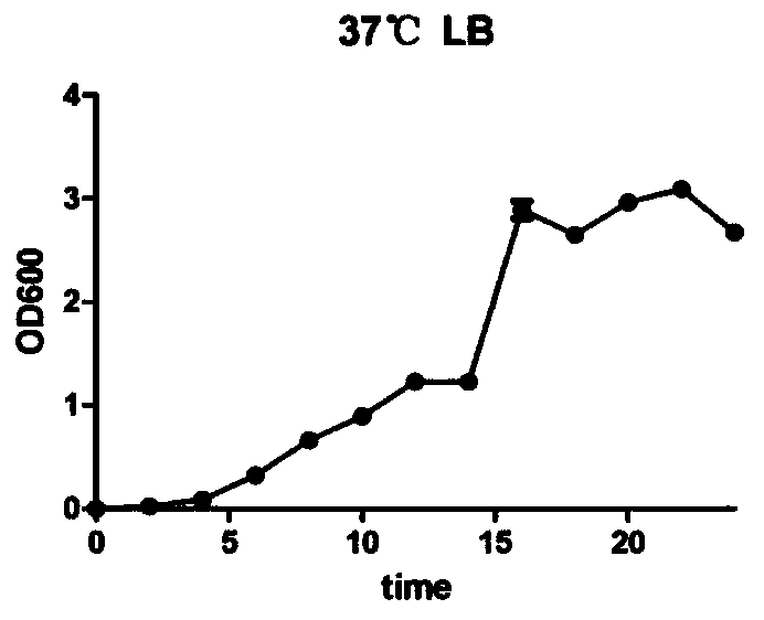 Pseudomonas stutzeri mutant strain as well as construction method and application thereof